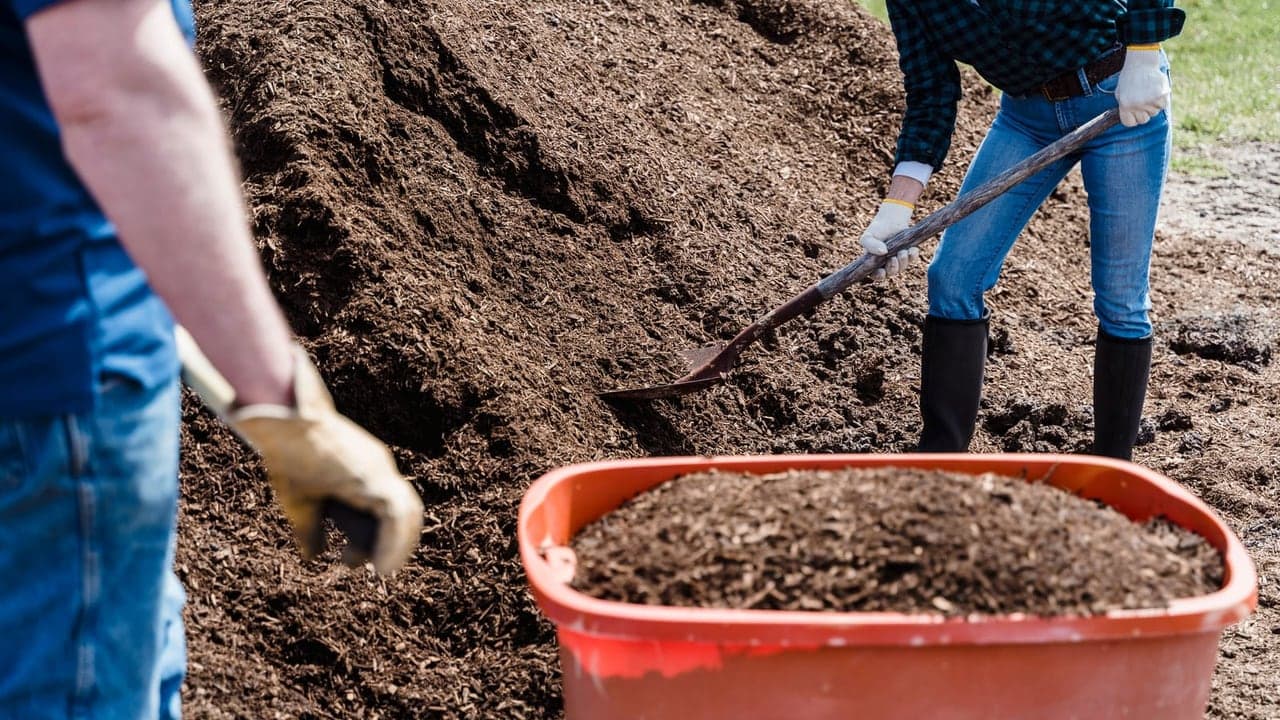 Mulch vs. Rock: Which Is Better for Eastern Shore Planting Beds?