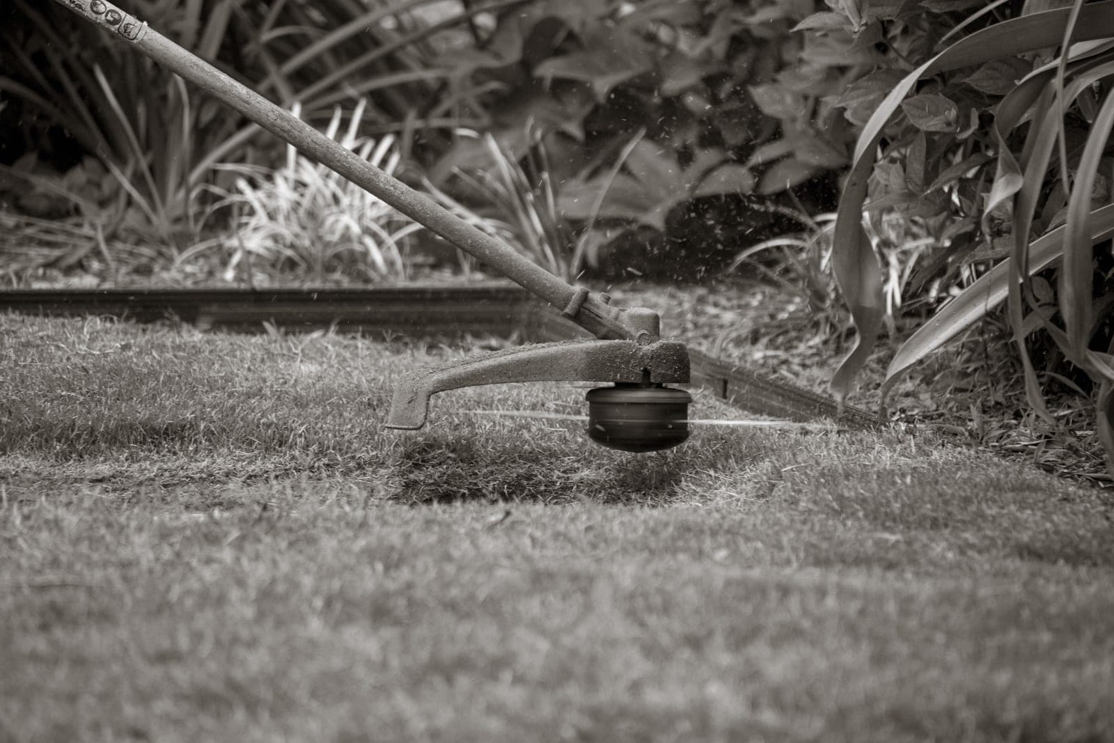 Fertilization & Weed Control by Bayside Tree and Landscape on Maryland's Eastern Shore