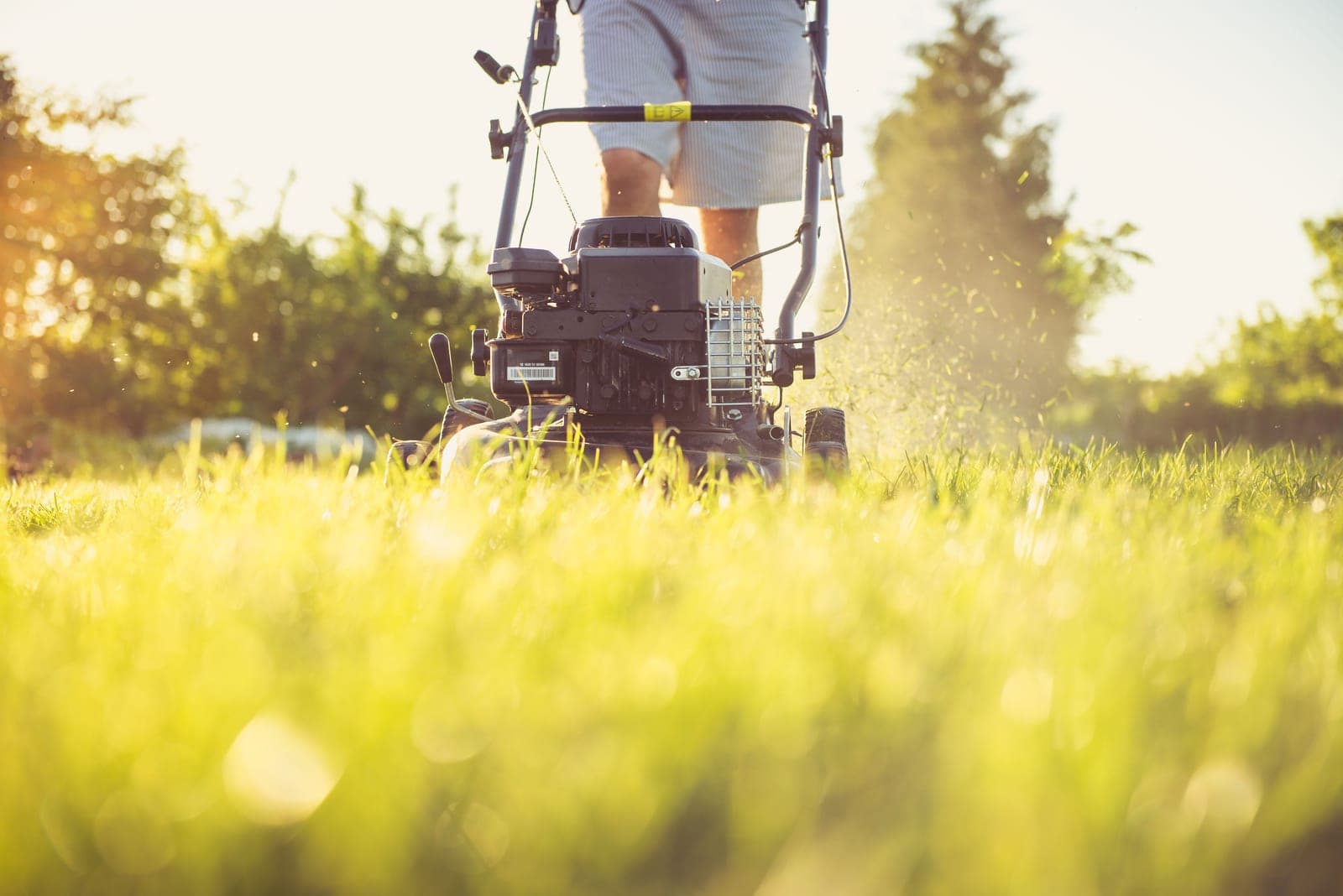 Lawn Mowing & Maintenance by Bayside Tree and Landscape on Maryland's Eastern Shore