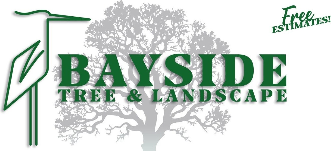 Bayside Tree and Landscape โ free estimates